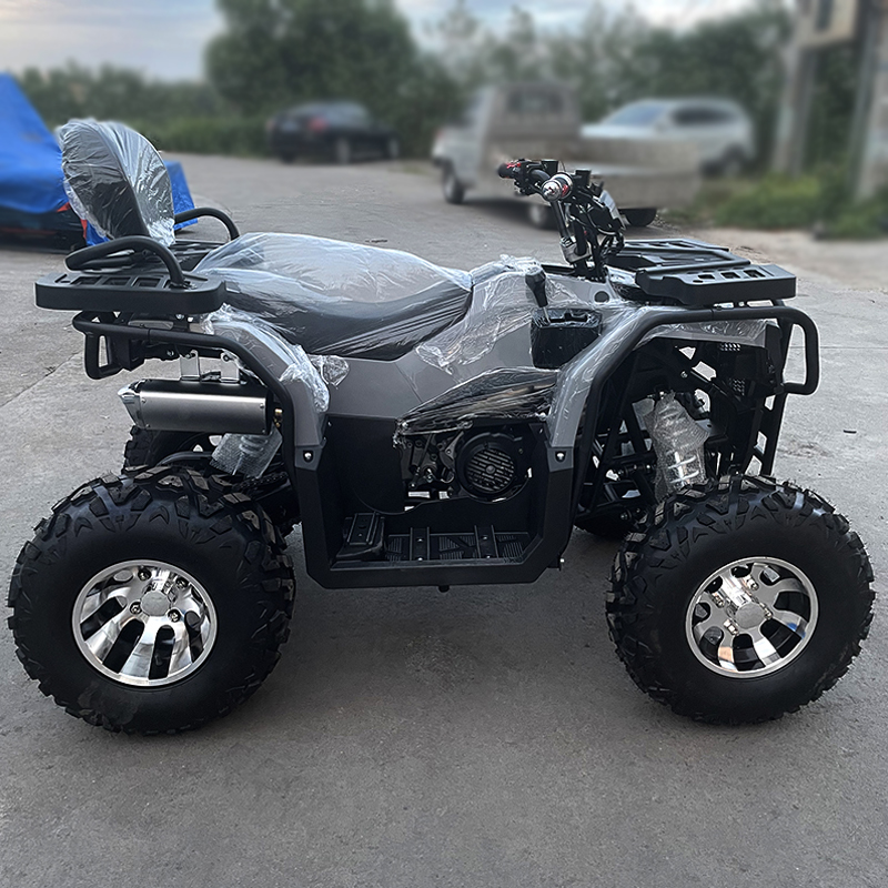 جميع التضاريس رباعية الشاطئ ATV ATV