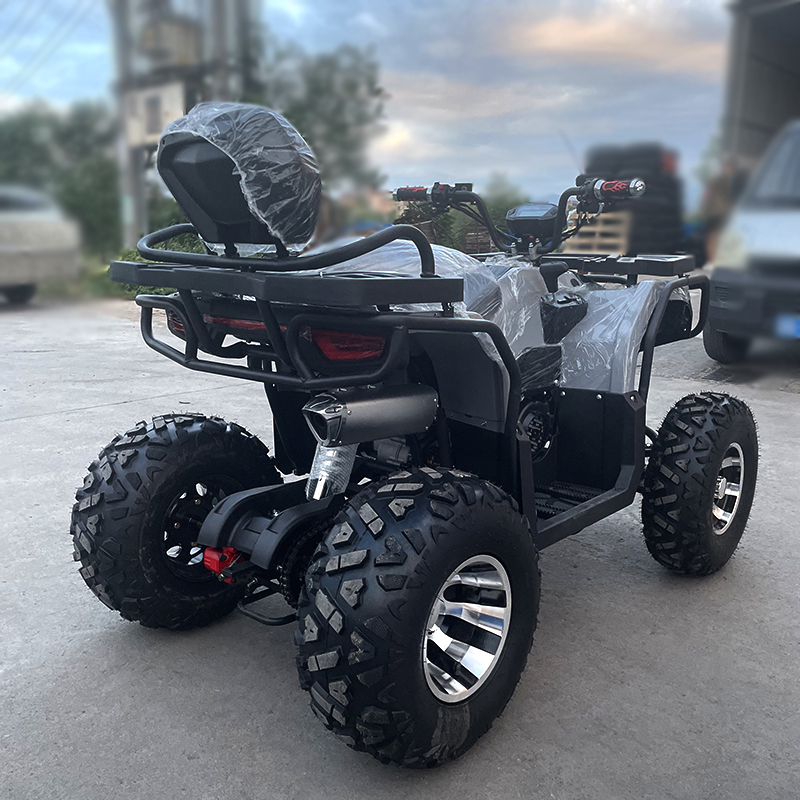 جميع التضاريس رباعية الشاطئ ATV ATV