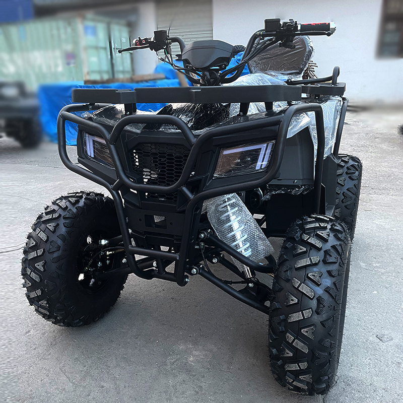 جميع التضاريس رباعية الشاطئ ATV ATV