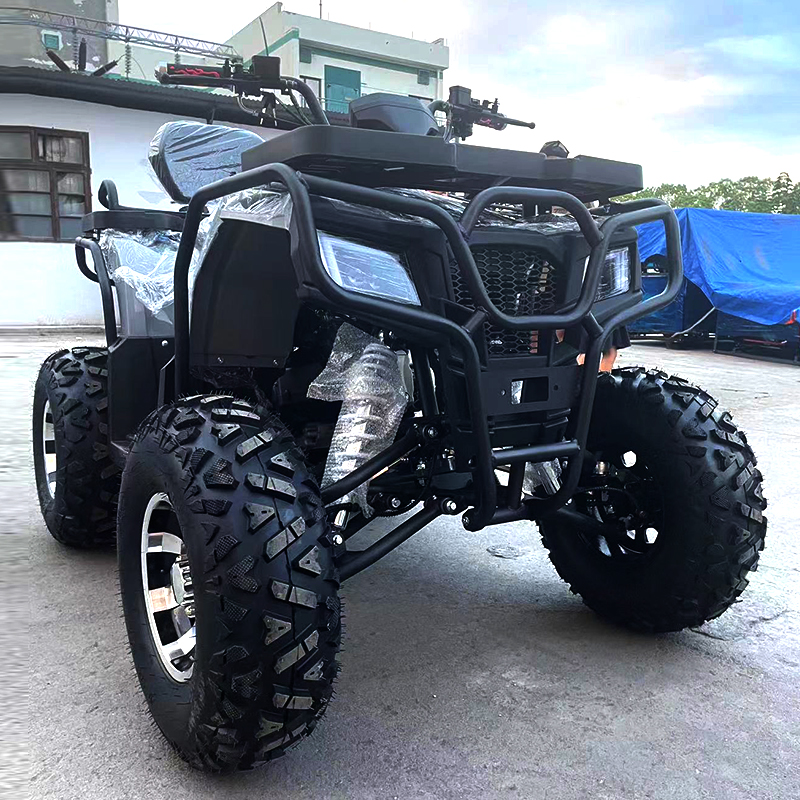 جميع التضاريس رباعية الشاطئ ATV ATV