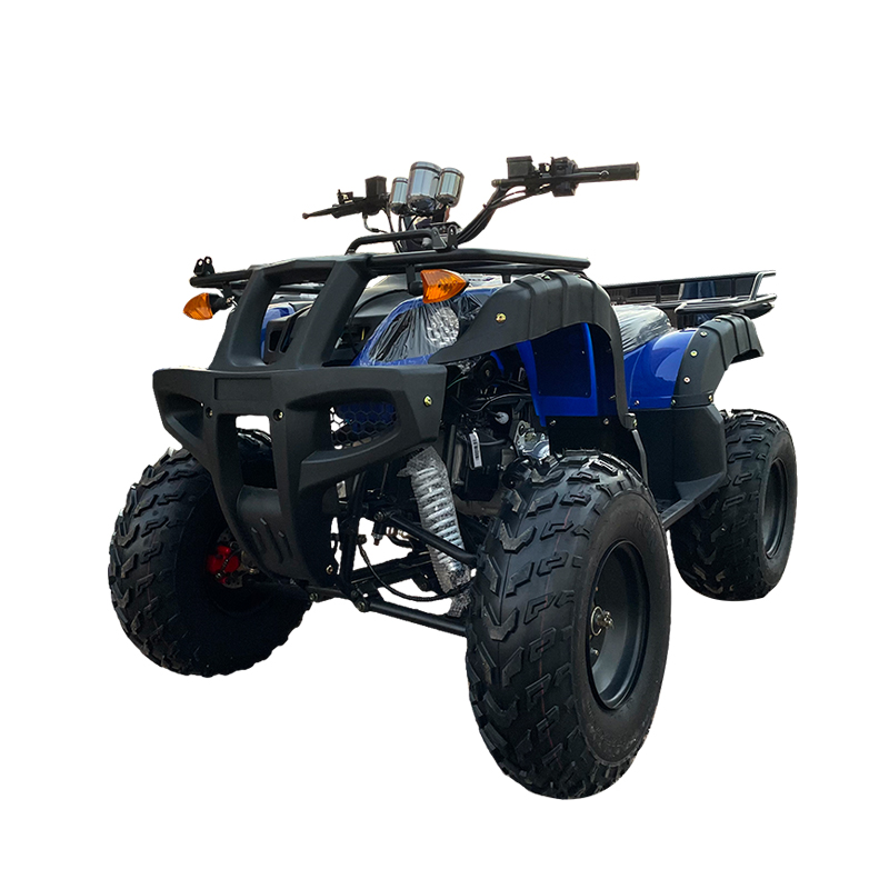 يمكن أن يكون امتصاص الصدمات الكبير أن يجلس شخصين ATV