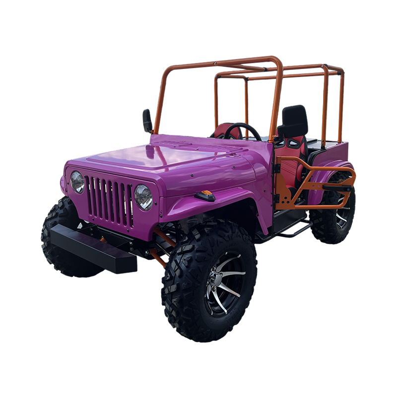 Jeep UTV القابل للتحويل Mini Leisure