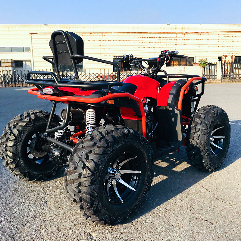 سرعة متغيرة قوية جميع التضاريس ATV