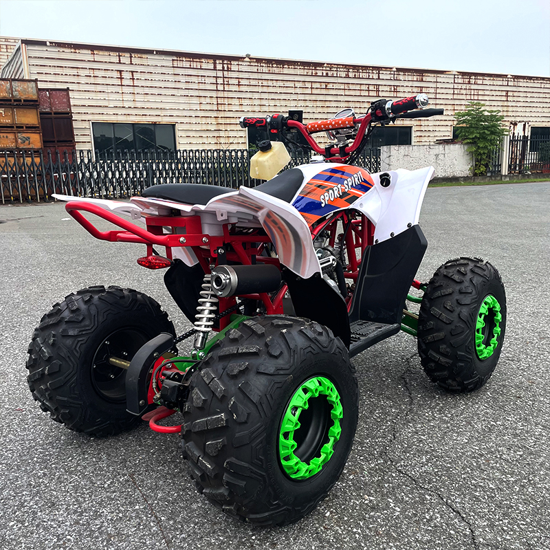 الترفيه جميع التضاريس على الطرق الوعرة على الطرق الوعرة ATV