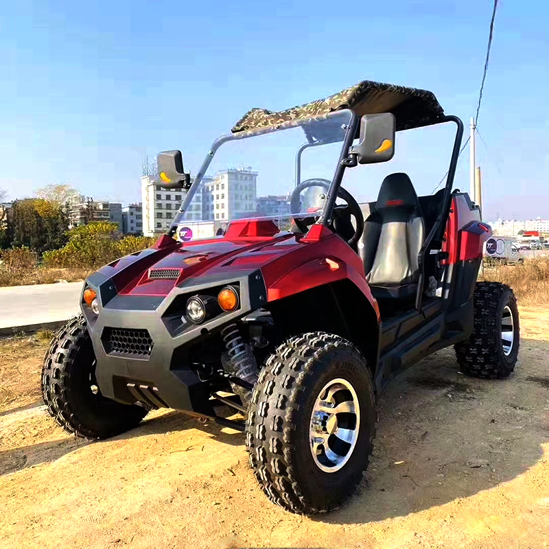 UTV متعددة الوظائف جنبًا إلى جنب UTV للبالغين