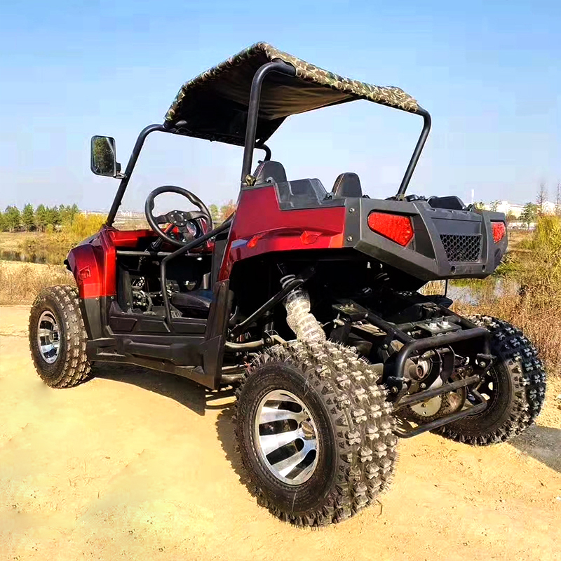 UTV متعددة الوظائف جنبًا إلى جنب UTV للبالغين